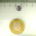 ITLGR_113106_SCALE.webp