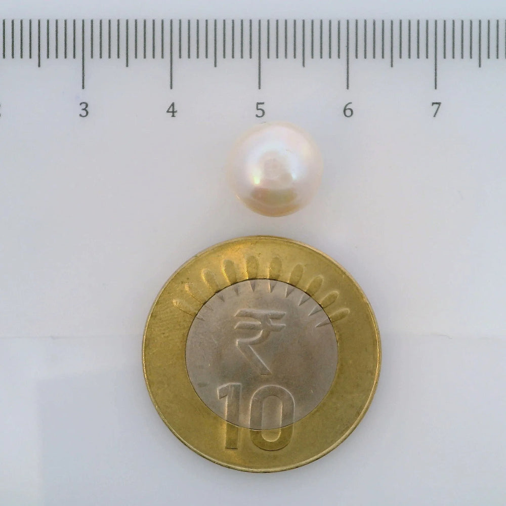ITLGR_107026_SCALE.webp