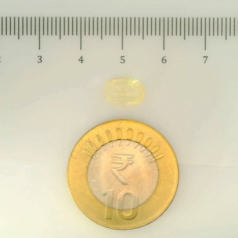 IGITL_200265_SCALE.webp