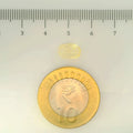IGITL_200265_SCALE.webp