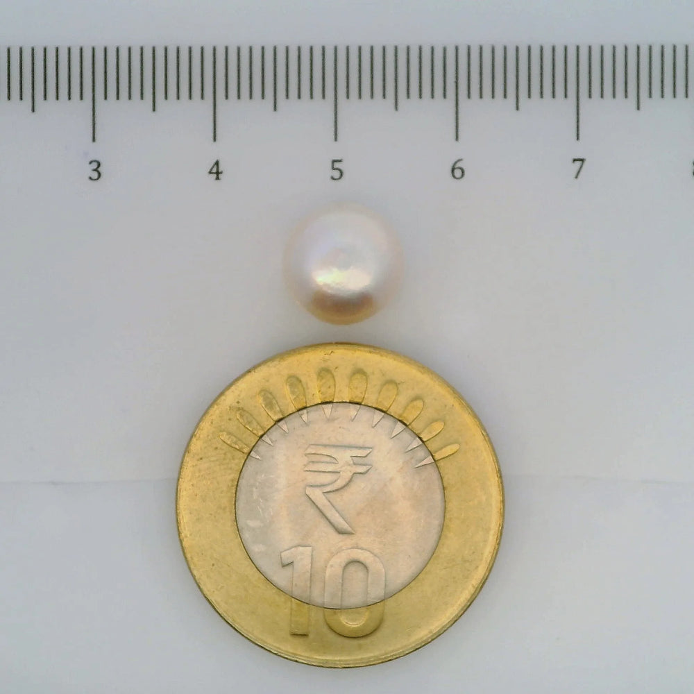 ITLGR_107037_SCALE.webp