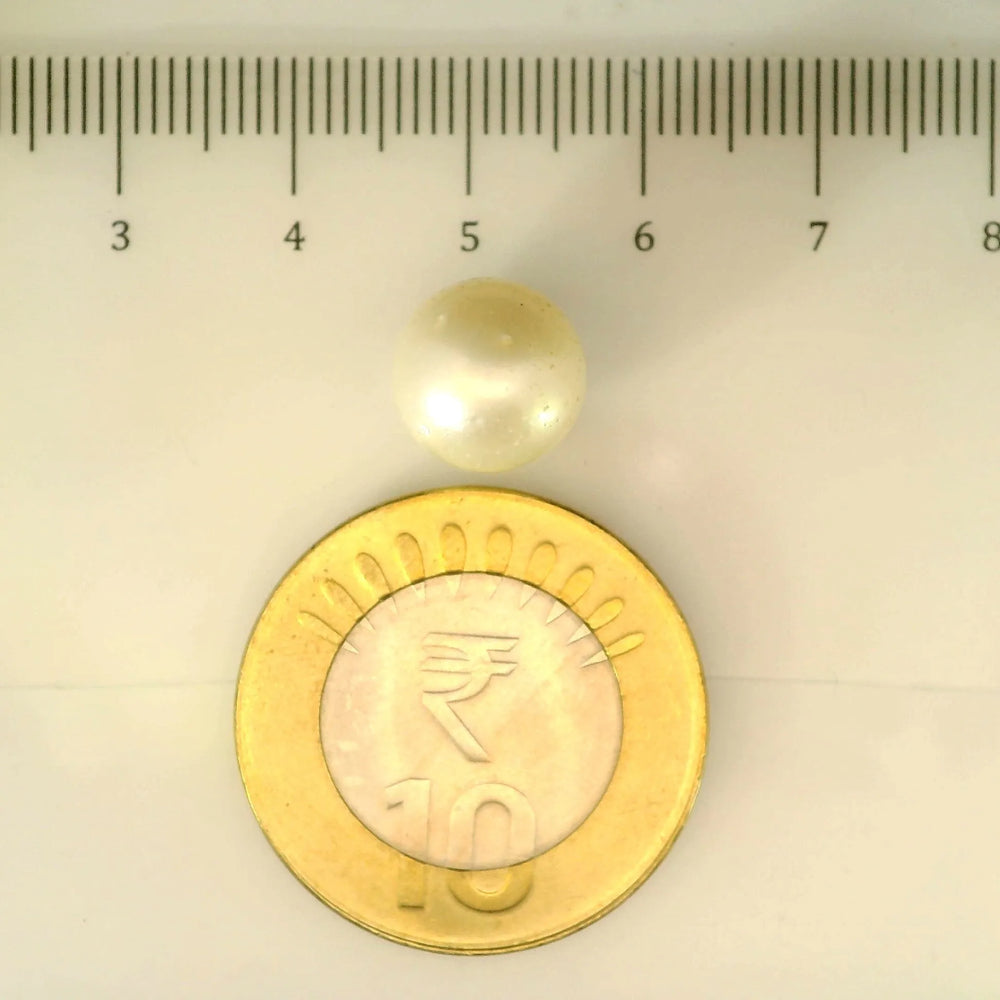 ITLGR_106929_SCALE.webp
