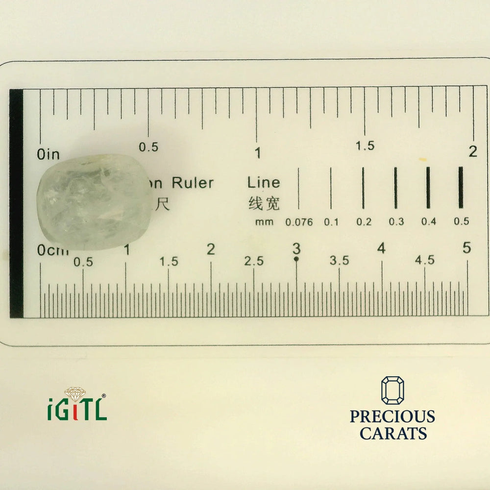 IGITL_194699_SCALE.webp