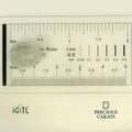 IGITL_194699_SCALE.webp