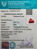 ITLGR_121410_CERTIFICATE.webp