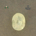 IGITL_200276_TOP.webp