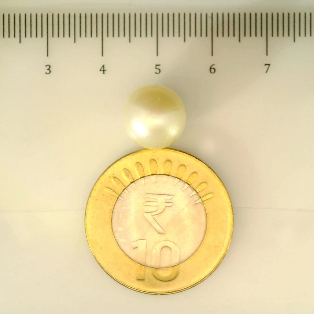 ITLGR_106895_SCALE.webp