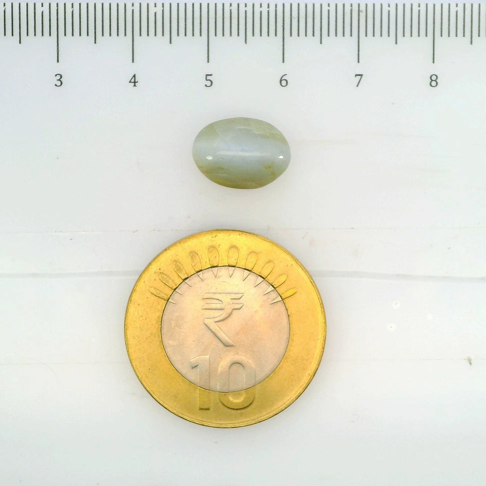 ITLGR_109772_SCALE.webp