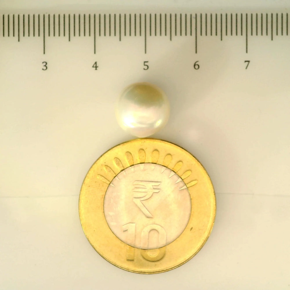 ITLGR_106946_SCALE.webp