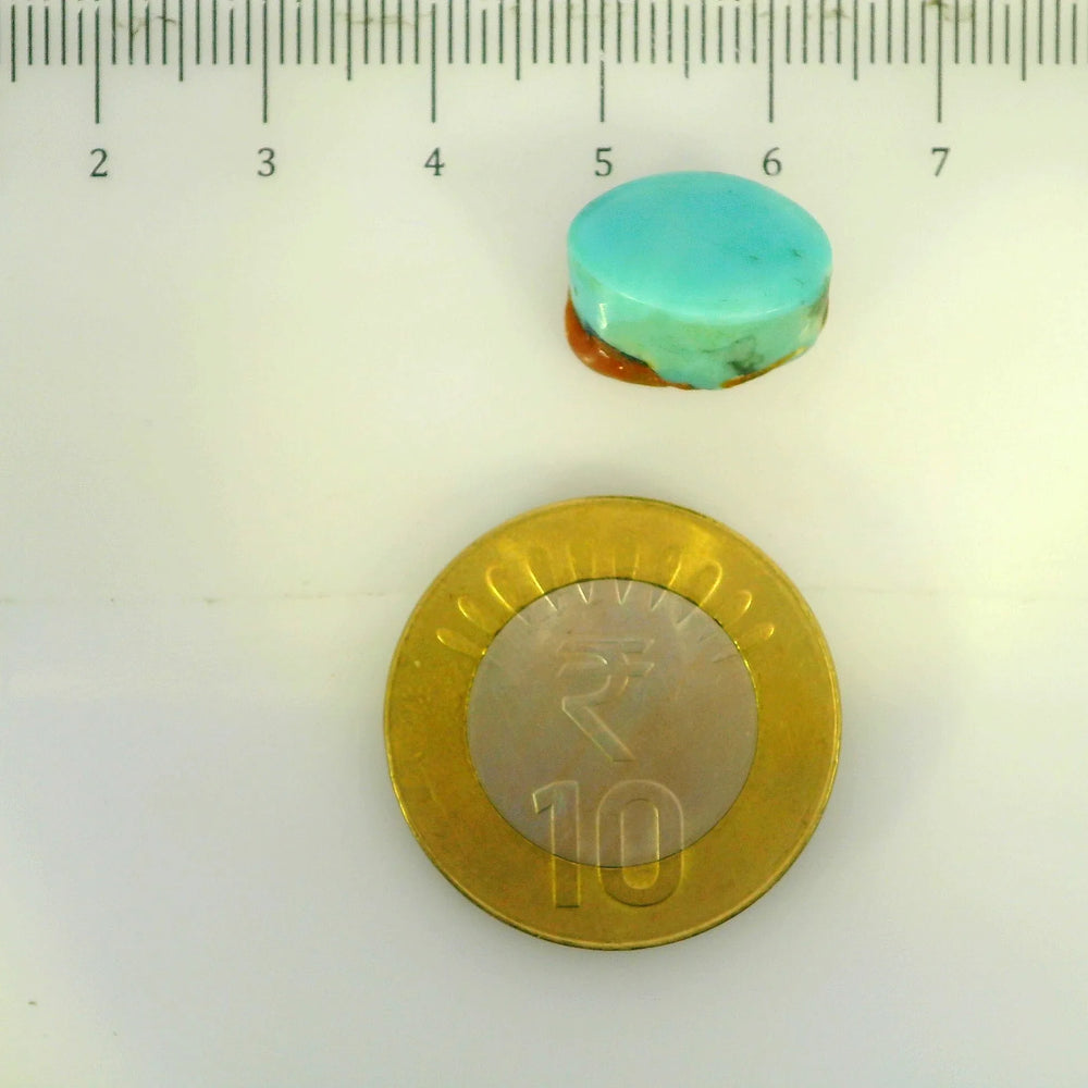 ITLGR_107239_SCALE.webp