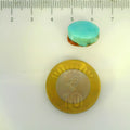 ITLGR_107239_SCALE.webp