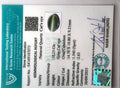 ITLGR_107073_CERTIFICATE.webp