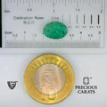 ITLGR_102174_SCALE.webp