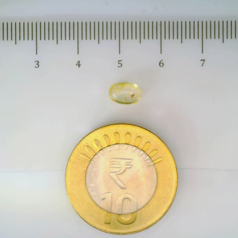 ITLGR_104923_SCALE.webp