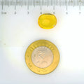 GFCO_28085-10_SCALE.webp