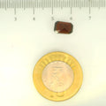 ITLGR_104293_SCALE.webp