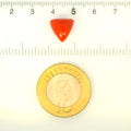 ITLGR_121406_SCALE.webp