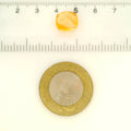 ITLGR_121747_SCALE.webp