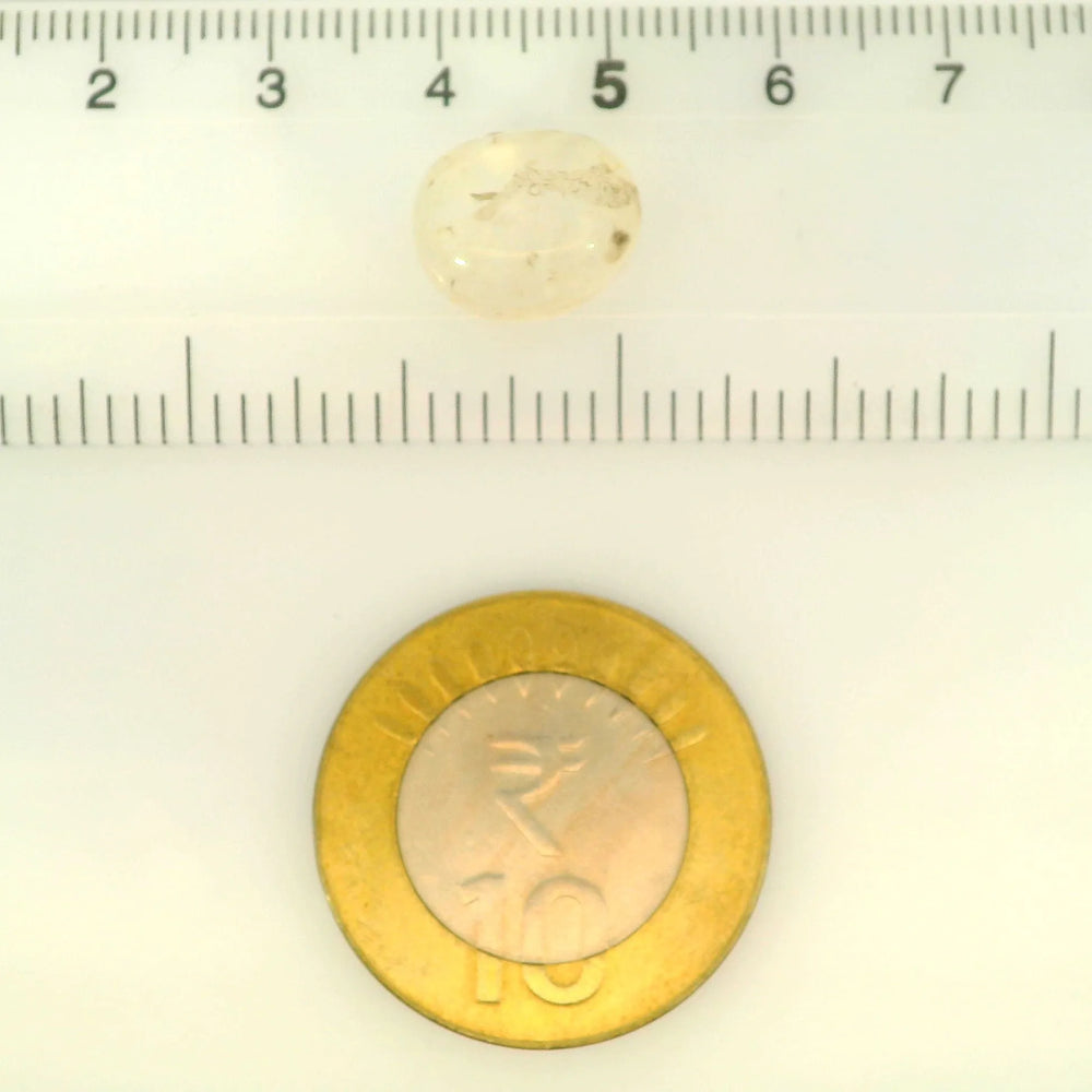 ITLGR_121472_SCALE.webp