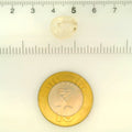 ITLGR_121472_SCALE.webp