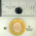 ITLGR_101679_SCALE.webp