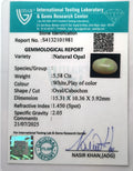 ITLGR_101981_CERTIFICATE.webp