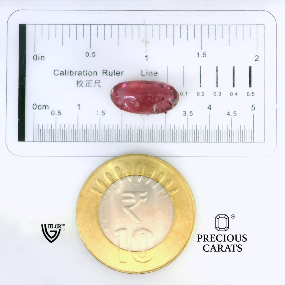 ITLGR_102663_SCALE.webp