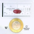 ITLGR_102663_SCALE.webp
