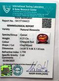 ITLGR_104433_CERTIFICATE.webp
