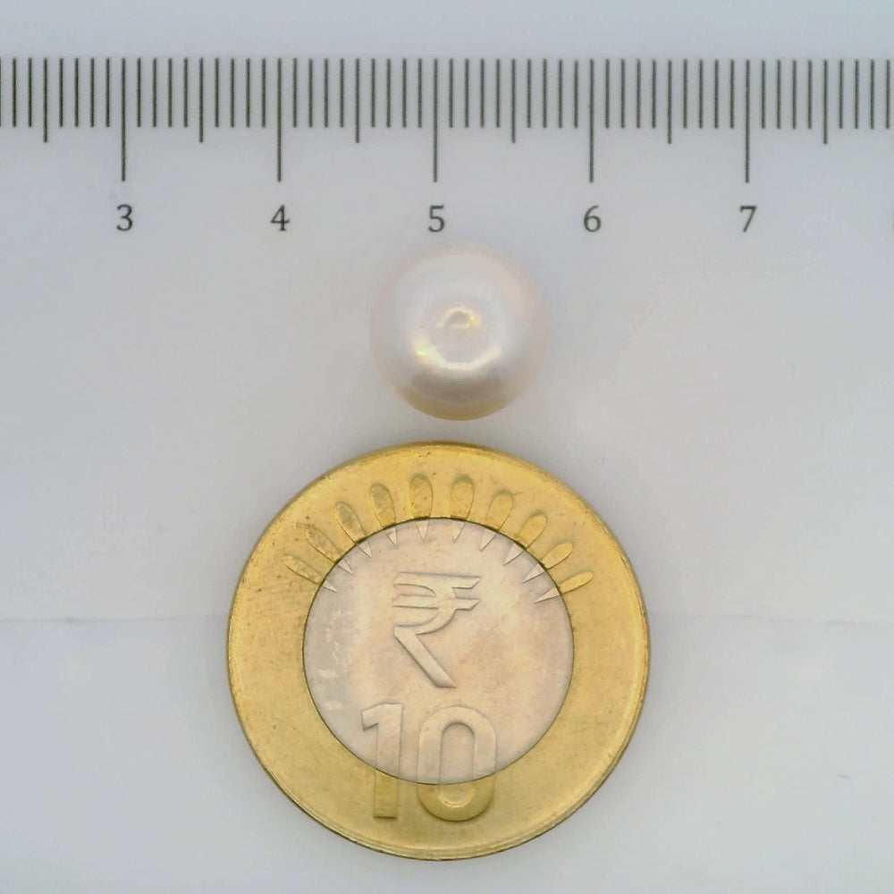 ITLGR_106978_SCALE.webp