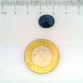 GFCO_28281-9_SCALE.webp