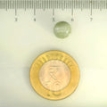 ITLGR_109805_SCALE.webp
