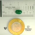 ITLGR_105248_SCALE.webp