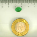 ITLGR_106845_SCALE.webp
