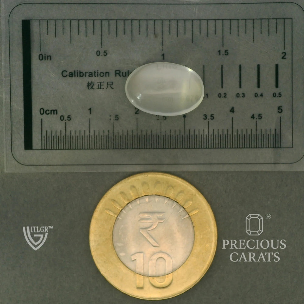 ITLGR_102048_SCALE.webp