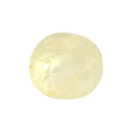 IGITL_200278_FRONT.png