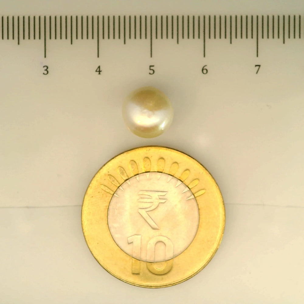 ITLGR_106945_SCALE.webp
