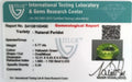 ITLGR_100490_CERTIFICATE.webp