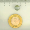 ITLGR_109804_SCALE.webp