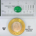 ITLGR_102200_SCALE.webp
