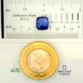 IGITL_200210_SCALE.webp