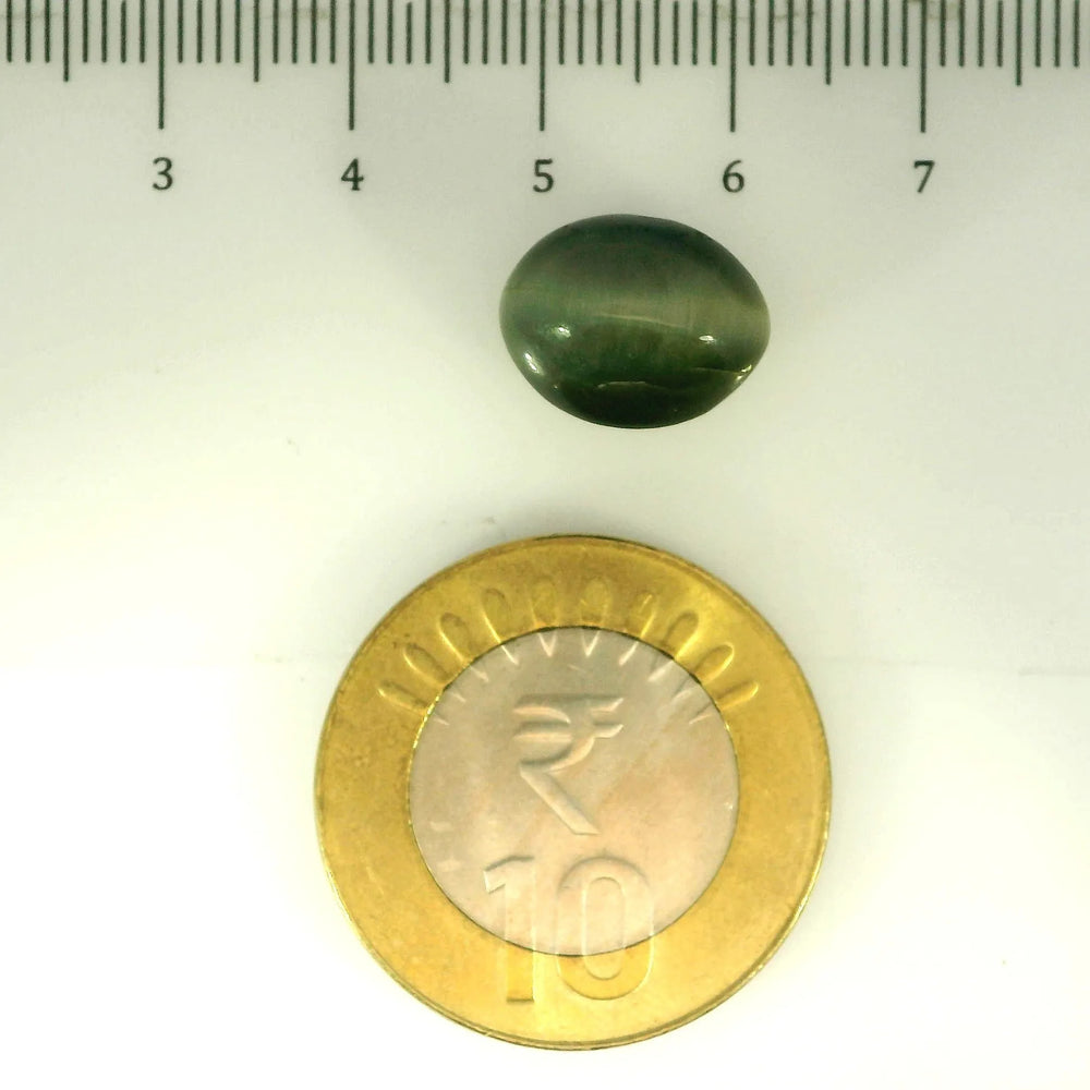 ITLGR_107054_SCALE.webp
