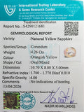 ITLGR_121681_CERTIFICATE.webp