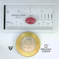 ITLGR_2144_SCALE.webp