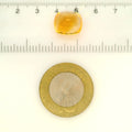 ITLGR_121745_SCALE.webp