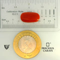 ITLGR_104532_SCALE.webp