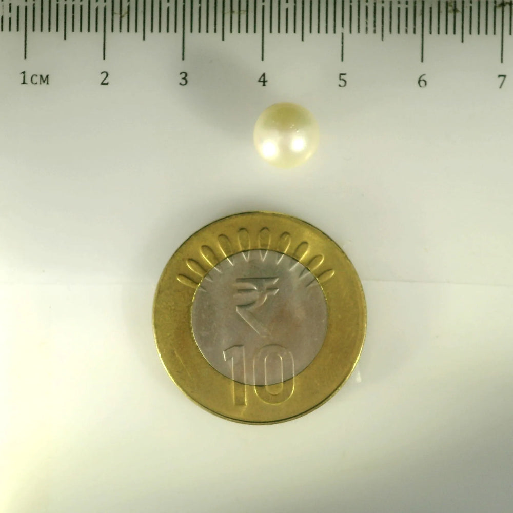ITLGR_99846_SCALE.webp