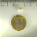 ITLGR_99846_SCALE.webp