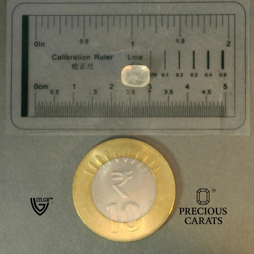 ITLGR_100397_SCALE.webp