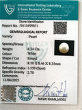ITLGR_99851_CERTIFICATE.webp